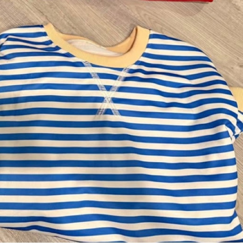 Blue and White Striped sweatshirt